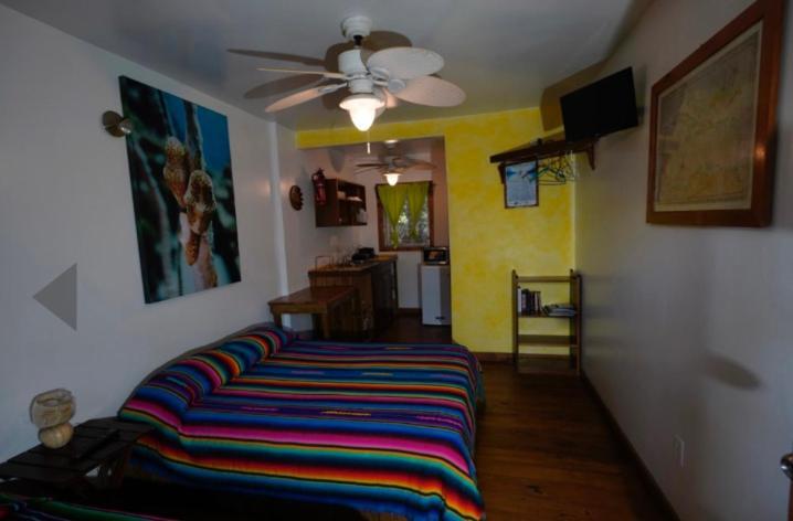 Sea Breeze Inn West End Dış mekan fotoğraf