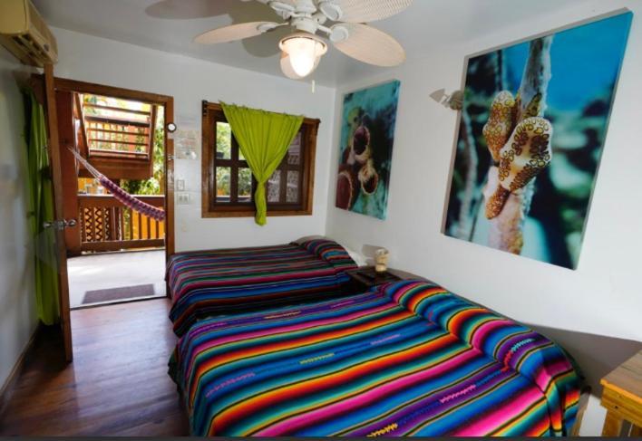 Sea Breeze Inn West End Dış mekan fotoğraf
